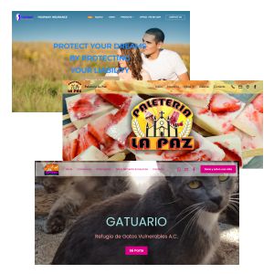 Mobirise Website Builder